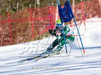 Thumbnail 1 in Berkshire Ski League GS Championship photogallery.
