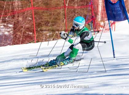Thumbnail 3 in Berkshire Ski League GS Championship photogallery.