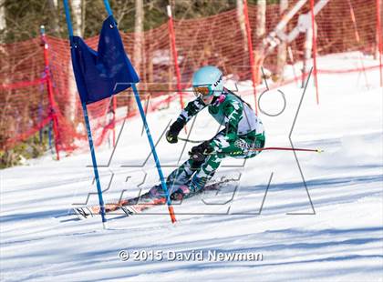 Thumbnail 1 in Berkshire Ski League GS Championship photogallery.