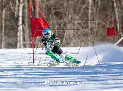 Thumbnail 2 in Berkshire Ski League GS Championship photogallery.