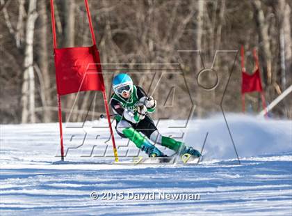 Thumbnail 1 in Berkshire Ski League GS Championship photogallery.