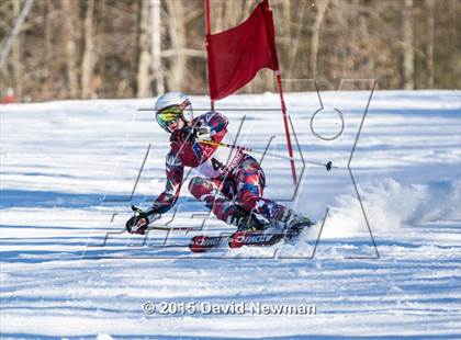 Thumbnail 1 in Berkshire Ski League GS Championship photogallery.