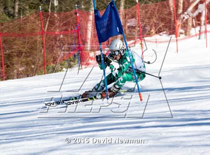 Thumbnail 1 in Berkshire Ski League GS Championship photogallery.