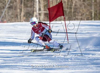Thumbnail 2 in Berkshire Ski League GS Championship photogallery.