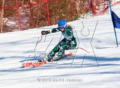 Thumbnail 1 in Berkshire Ski League GS Championship photogallery.