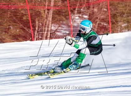 Thumbnail 1 in Berkshire Ski League GS Championship photogallery.