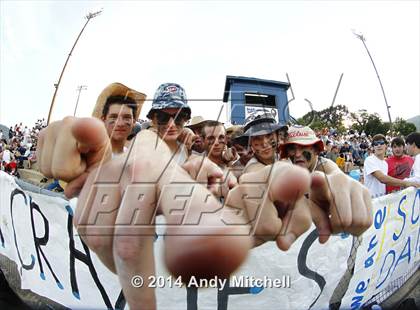 Thumbnail 1 in Soddy Daisy @ Red Bank photogallery.