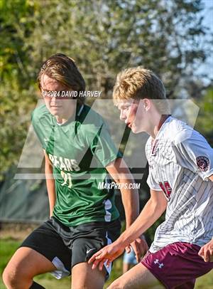 Golden vs Bear Creek