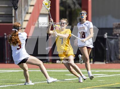 Thumbnail 1 in Upper Arlington @ Lassiter photogallery.