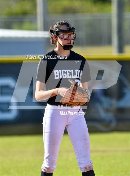 Thumbnail 1 in Bigelow vs South Side (Bee Branch) photogallery.
