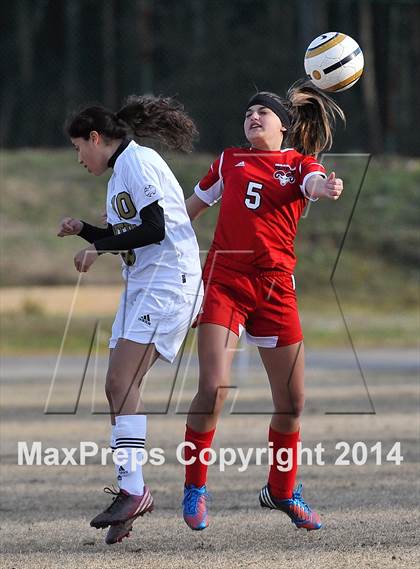 Thumbnail 2 in Rolesville @ Harnett Central photogallery.