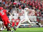 Photo from the gallery "Westfield @ North Shore"