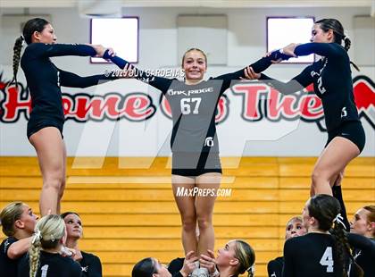 Thumbnail 1 in Oak Ridge vs. West Park (CIF SJS Div 1 Stunt Finals) photogallery.