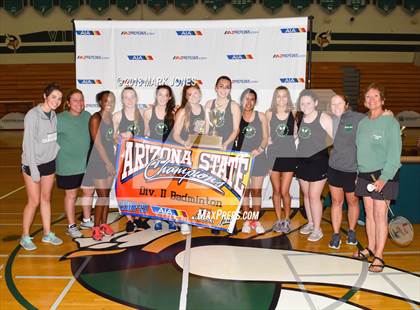 Thumbnail 1 in 2018 AIA Girls Badminton State Championships (Awards Photos) photogallery.