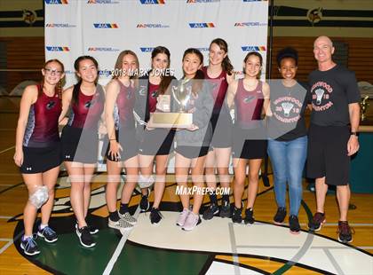 Thumbnail 1 in 2018 AIA Girls Badminton State Championships (Awards Photos) photogallery.
