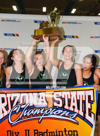 Thumbnail 3 in 2018 AIA Girls Badminton State Championships (Awards Photos) photogallery.
