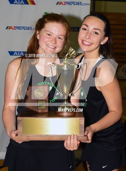 Thumbnail 2 in 2018 AIA Girls Badminton State Championships (Awards Photos) photogallery.
