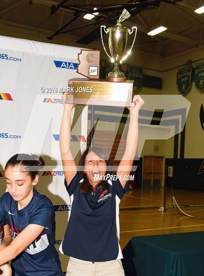 Thumbnail 3 in 2018 AIA Girls Badminton State Championships (Awards Photos) photogallery.