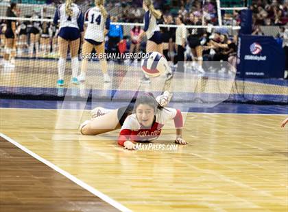 Thumbnail 1 in Montrose vs. Windsor (CHSAA 4A Semifinal) photogallery.