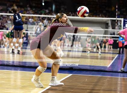 Thumbnail 3 in Montrose vs. Windsor (CHSAA 4A Semifinal) photogallery.