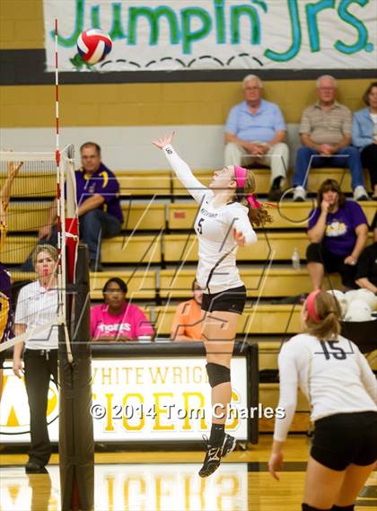 Thumbnail 3 in Farmersville @ Whitewright photogallery.