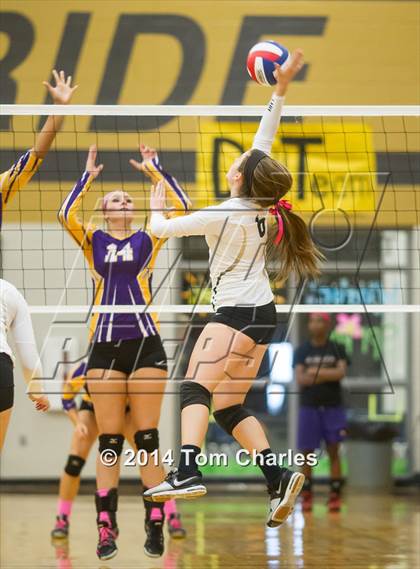 Thumbnail 3 in Farmersville @ Whitewright photogallery.