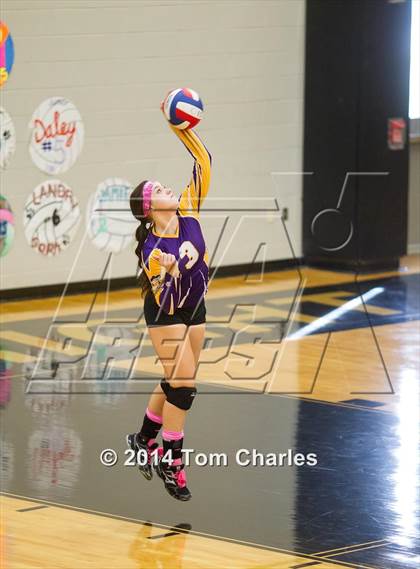 Thumbnail 3 in Farmersville @ Whitewright photogallery.
