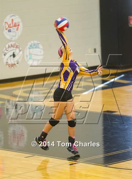 Thumbnail 1 in Farmersville @ Whitewright photogallery.