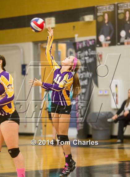 Thumbnail 1 in Farmersville @ Whitewright photogallery.