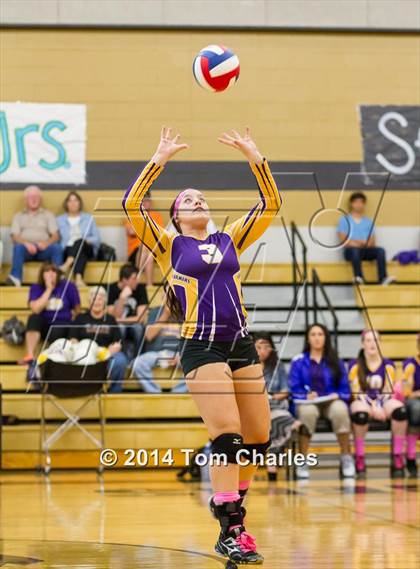 Thumbnail 1 in Farmersville @ Whitewright photogallery.