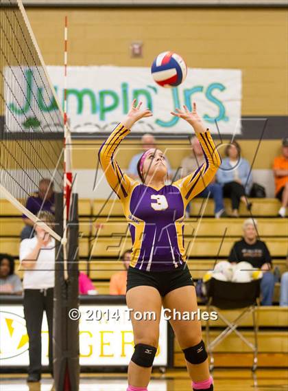 Thumbnail 3 in Farmersville @ Whitewright photogallery.