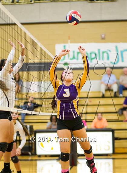 Thumbnail 3 in Farmersville @ Whitewright photogallery.