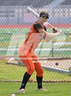 Photo from the gallery "Alameda @ California"