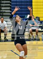 Photo from the gallery "Monterey Trail @ River City"