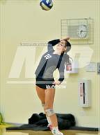 Photo from the gallery "Monterey Trail @ River City"