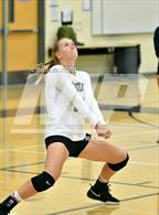 Photo from the gallery "Monterey Trail @ River City"