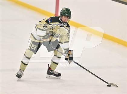 Thumbnail 3 in Mountain Vista @ Valor Christian photogallery.