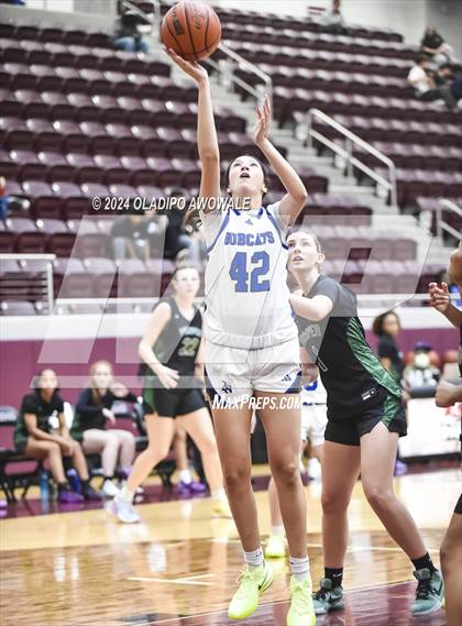 Thumbnail 3 in Prosper vs. Byron Nelson (Wylie Girls Basketball Showcase) photogallery.