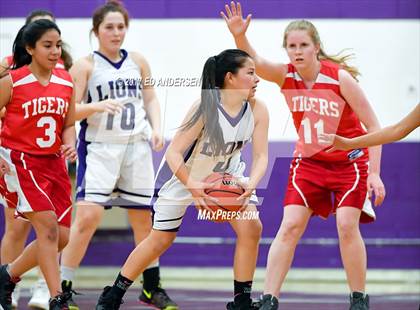 Thumbnail 1 in Lee Vining @ Yerington photogallery.