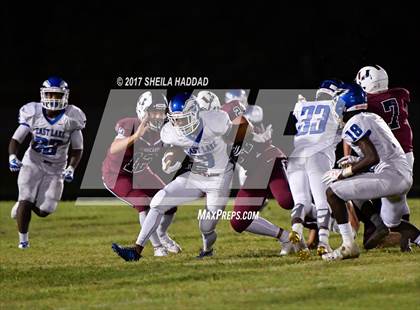 Thumbnail 3 in East Lake @ Palm Harbor University photogallery.