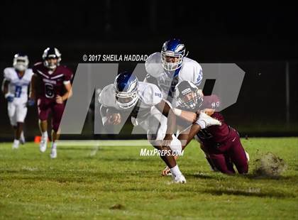 Thumbnail 3 in East Lake @ Palm Harbor University photogallery.