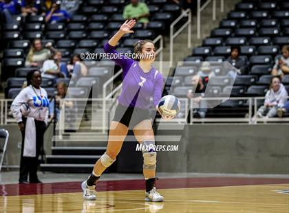 Thumbnail 3 in Wink vs. Thrall (UIL Volleyball 2A Semi-Finals)  photogallery.