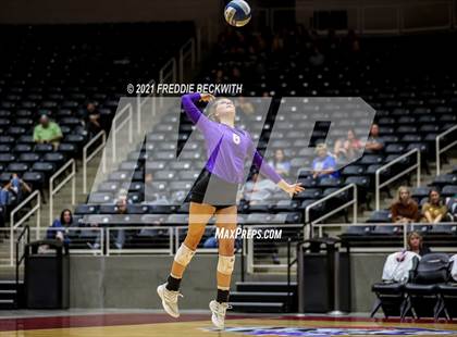 Thumbnail 3 in Wink vs. Thrall (UIL Volleyball 2A Semi-Finals)  photogallery.