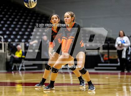 Thumbnail 3 in Wink vs. Thrall (UIL Volleyball 2A Semi-Finals)  photogallery.