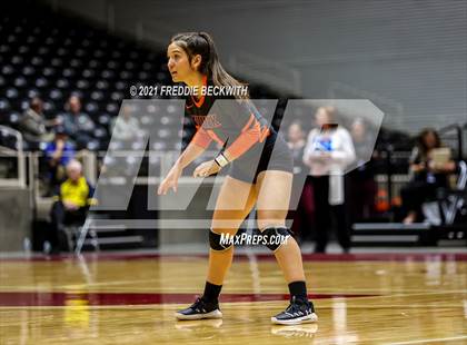 Thumbnail 1 in Wink vs. Thrall (UIL Volleyball 2A Semi-Finals)  photogallery.