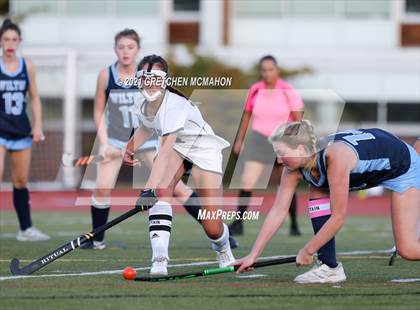 Thumbnail 1 in Wilton @ Ludlowe photogallery.