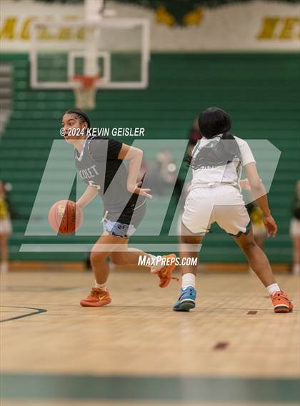 Thumbnail 3 in Nicolet @ Racine Case photogallery.