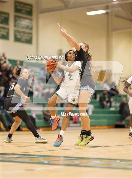 Thumbnail 3 in Nicolet @ Racine Case photogallery.