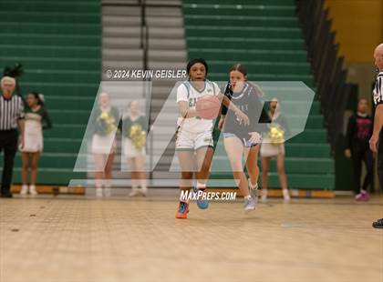 Thumbnail 2 in Nicolet @ Racine Case photogallery.