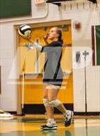 Photo from the gallery "Green Level @ Green Hope"